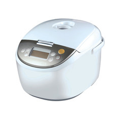 Rice cooker isolated on white background with clipping path.