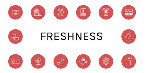 Poster - freshness simple icons set