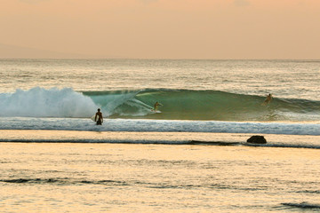Wall Mural - surfers in sea during sunset