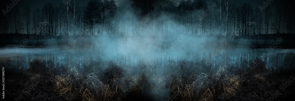 Dark gloomy forest. Night in the forest. - obrazy, fototapety, plakaty 