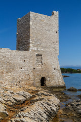 Wall Mural - Ruins of the medieval Vir castle, Croatia