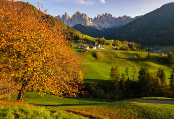  Autumn evening Santa Magdalena famous Italy Dolomites village view in front of the Geisler or Odle Dolomites mountain rocks.