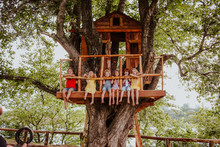 Kids Playing In A Tree House