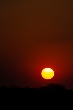Red African Sunset Free Stock Photo - Public Domain Pictures