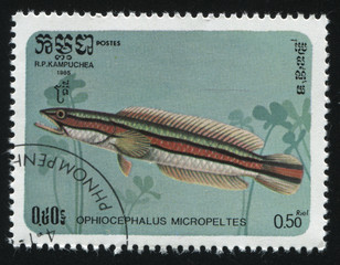 Poster - postage stamp with fish