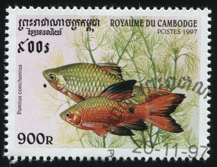 Wall Mural - postage stamp with fish