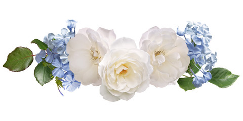 Wall Mural - White roses and light blue plumbago isolated on white background. Floral arrangement, bouquet of flowers. Can be used for invitations, greeting, wedding card.