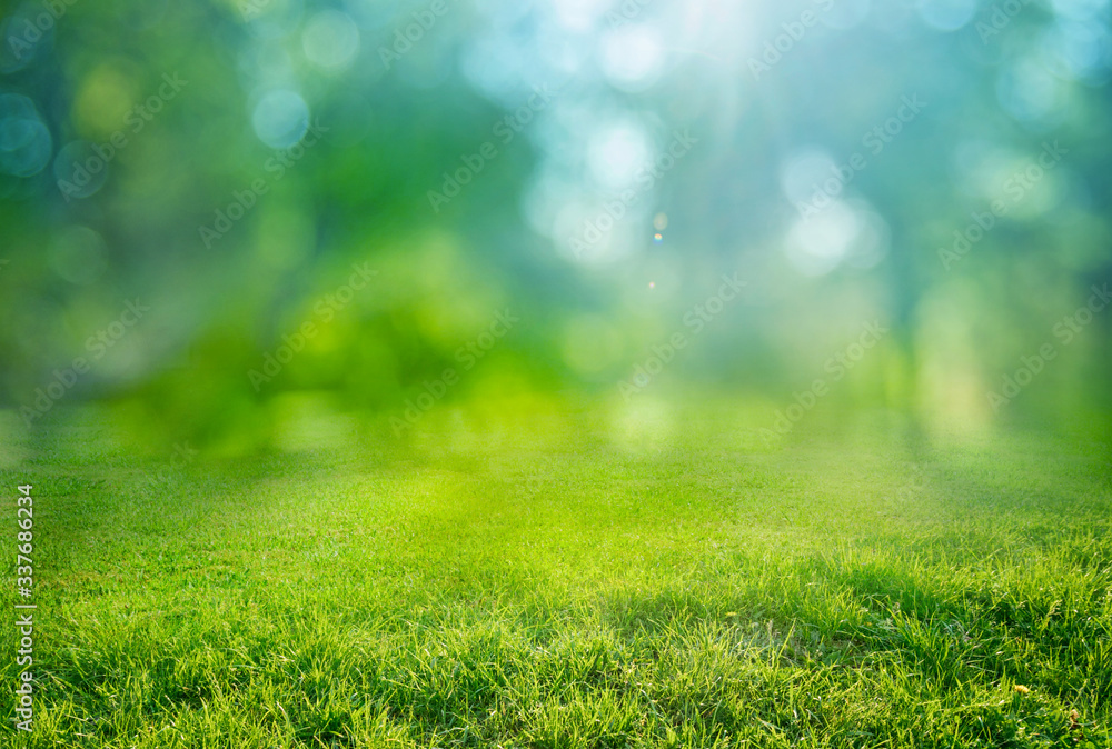 natural grass background with blurred bokeh and sun - obrazy, fototapety, plakaty 