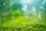 Fototapeta  - natural grass background with blurred bokeh and sun