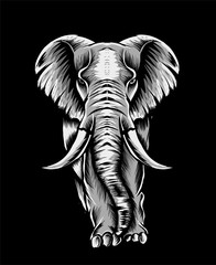 Wall Mural - Adult elephant full body vector illustration art