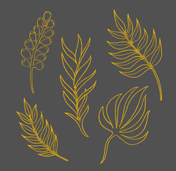  Botanical set with golden lineart leaves. Hand painted elements isolated on grey background. Clip art for design