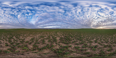 Wall Mural - full seamless spherical hdri panorama 360 degrees angle view on among fields in spring day with awes