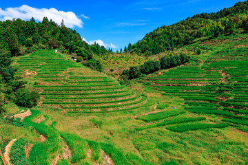 Two hundred years old Tulou in Fujian, China.