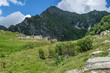 © Francesco - Alpe Campo, Piedmont, Italy
