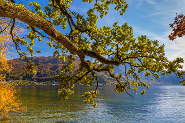 Canvas Print - Lake and castle´s park in Gmunden, Austria