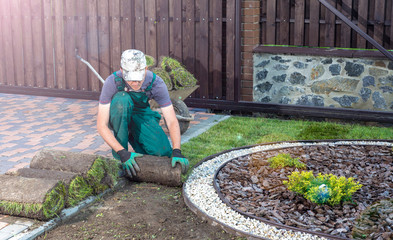 Landscape Gardener Laying Turf For New Lawn