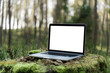 © velishchuk - Laptop outside concept. Empty copy space, blank screen mockup. Soft focus laptop in nature background. Ecology travel and work outside office concept.