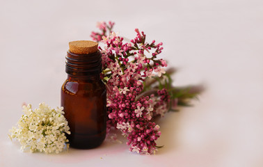 Sticker - Calf oil; Valeriana officinalis