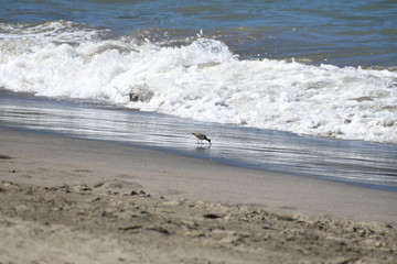 beach and sea