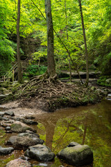 Hiking the sandstone canyons at Matthiessen State Park, Illinois.