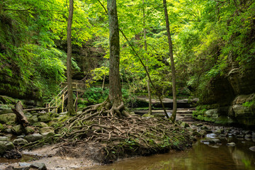 Hiking the sandstone canyons at Matthiessen State Park, Illinois.