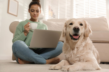 Wall Mural - Young woman with laptop and her Golden Retriever at home. Adorable pet