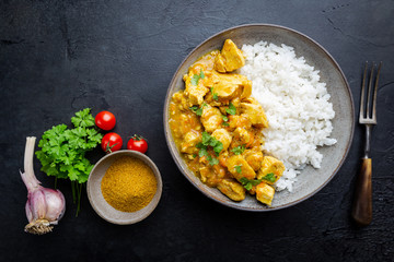 Wall Mural - Spicy chicken cooked with curry sauce and rice, top view