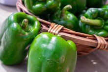 A Wicker Basket Filled With Fresh Green Bell Peppers At A Farmers Market. There Are Two Sweet Peppers Or Capsicum On The Table In Front Of The Basket. The Fresh Crop Has A Thick Shiny Green Skin. 
