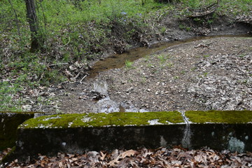 Canvas Print - Stream Bridge