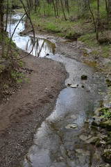 Wall Mural - Stream