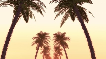 Wall Mural - Palm Tree Flyh to Sunset.Concept is silhouette Coconut tree fly to the sunset loop animtion.