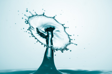 Poster - Water splash crown. Drop collision