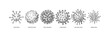Set of hand drawn viruses types (coronavirus, papillomavirus, herpes, influenza, hepatitis, adenovirus) with names in sketch style. Microscope virus close up. Vector illustration. COVID-2019