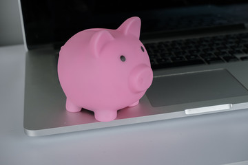 .Pink saving pig on the notebook.Concept of saving money, make a deposit.Money in save.