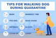 © Анна Лукина - Tips for walking dog during quarantine coronavirus 2019-covid. Infographics  recommendations for walking outside. Masked woman dog collar. Gloves, distance, cleaning,bag poo, limit walking time