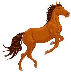 Wall Mural - Chestnut horse reared and bent its front legs. Prancing stallion pricked up its ears and stared ahead with dilated nostrils. Vector design element for equestrian goods.