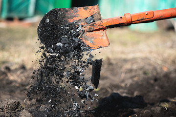 Gardener fertilizes the soil on the flower bed with charcoal close up.