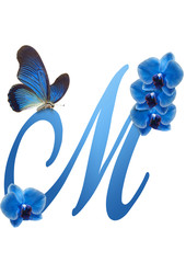 blue letter with orchid and butterfly