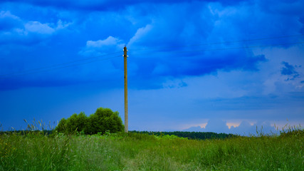 green grass and blue sky