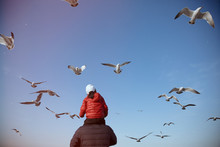 A Father Picked Up His Daughter And Watched The Seagulls By The Sea
