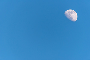 Wall Mural - Three Quarter Moon in a Blue Sky