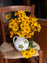 Yellow Flowers In A Vase On A Wicker Chair 