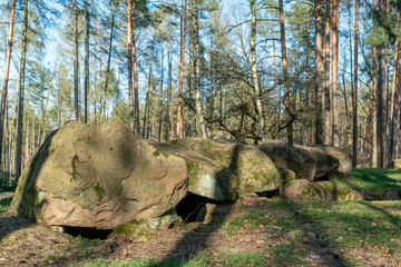 Wall Mural - Prehistoric megalith dolmen Kuechentannen near Haldensleben in Germany