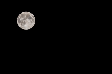 Wall Mural - Full Moon in a Black Night Sky