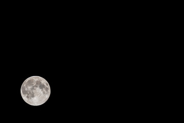 Wall Mural - Full Moon in a Black Night Sky