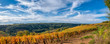 © Eléonore H - Vignoble en automne