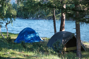 Sticker - Two tents in a morning forest