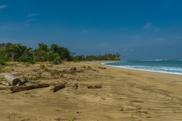 Wall Mural - Regular scene at wild beach in Lampung, Sumatra. Beach ful lof driftwood and big waves in Indian ocean