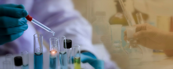 Wall Mural - laboratory concept; scientist use dropper to transfer chemical reagent to test tube. he observe the 