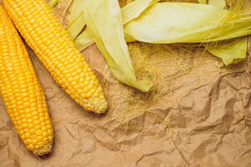 Wall Mural - Boiled corn with tops. Yellow agriculture organic vegetarian fresh summer food close up.